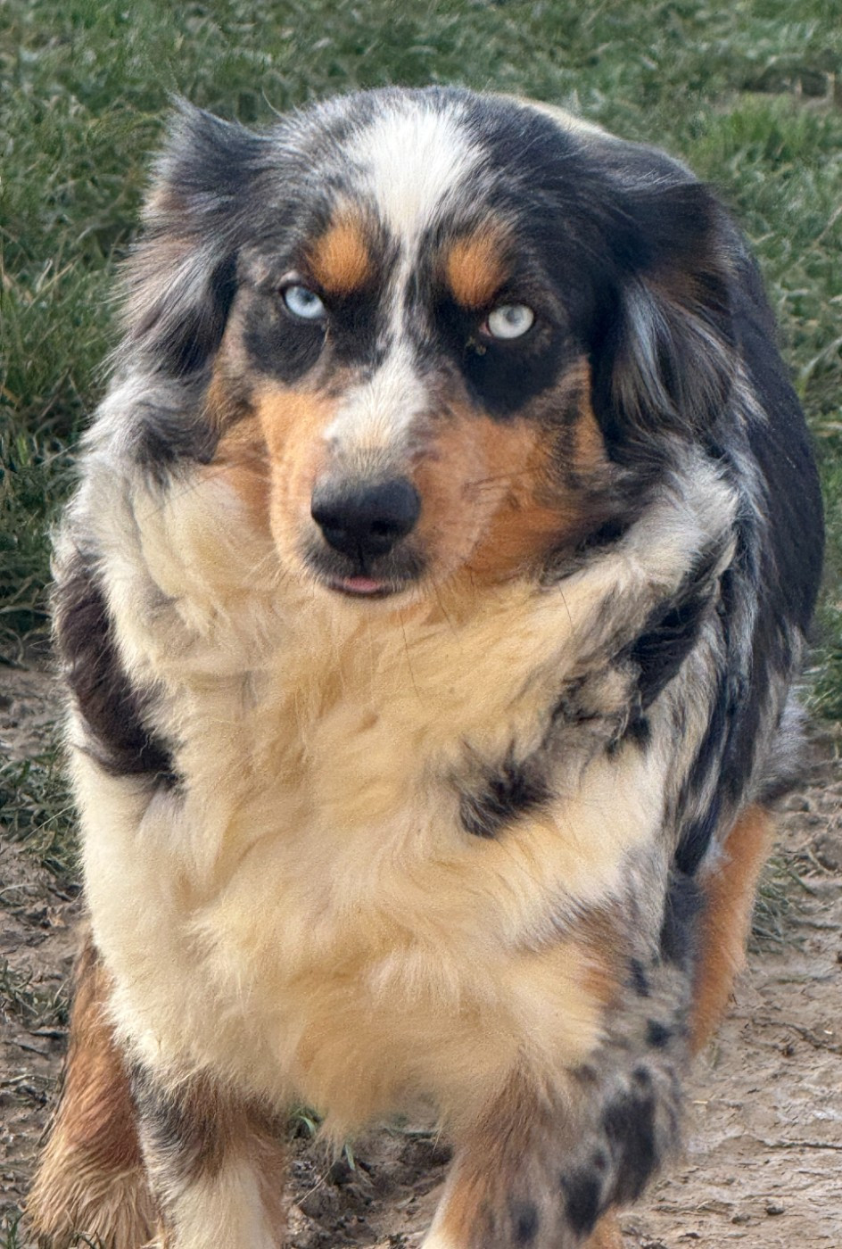 VITA Kingdom of Margail